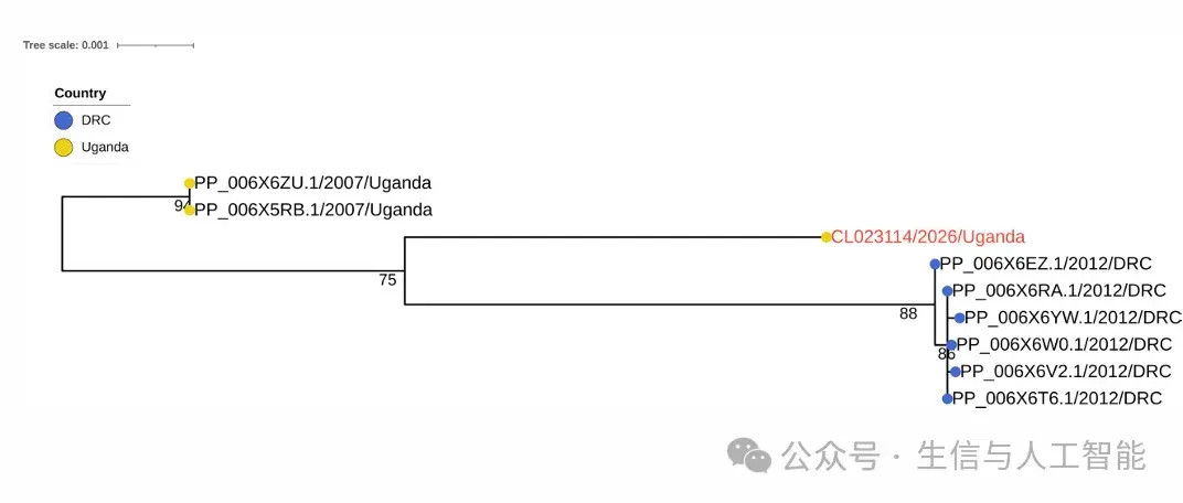 2.2.webp